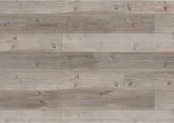 Zdjęcie Obi Pinia Górska 8 Mm Ac 5 - Działoszyce