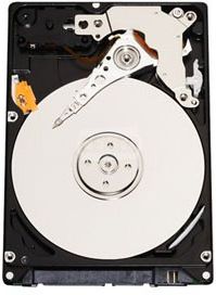 Dysk twardy WD WD3200BPVT 320GB SATA 2,5