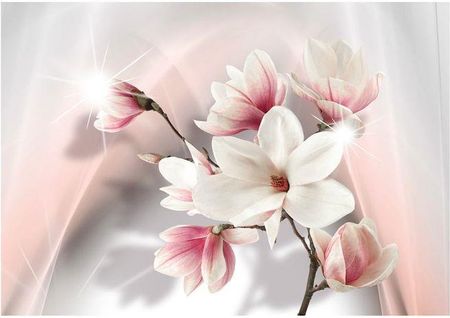 Fototapeta - Białe magnolie - 400X280