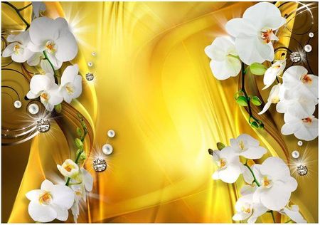 Fototapeta - Orchidea w złocie - 400X280