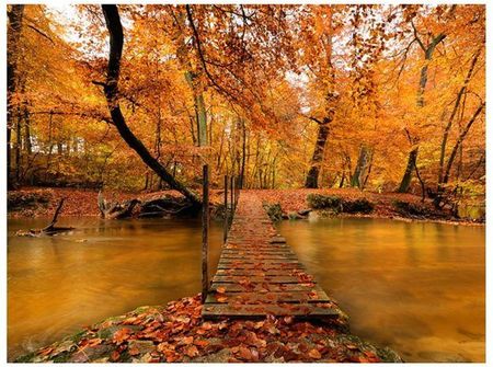 Fototapeta - Drewniany mostek w lesie - 200X154
