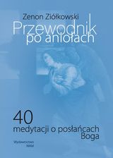 Zdjęcie Przewodnik po aniołach - Pilzno