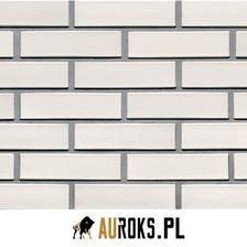 Zdjęcie Lhl Klinkier Cegła Klinkierowa Połówka Wenus Rf 250X55X65Mm - Krzeszowice