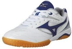mizuno wave drive 6