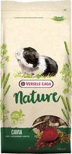 Versele Laga Cavia Nature Dla Kawii Domowych 9Kg - Pokarm i przysmaki dla małych zwierząt