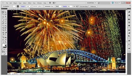 Adobe Creative Suite 5 Design Premium PL WIN Student Edition