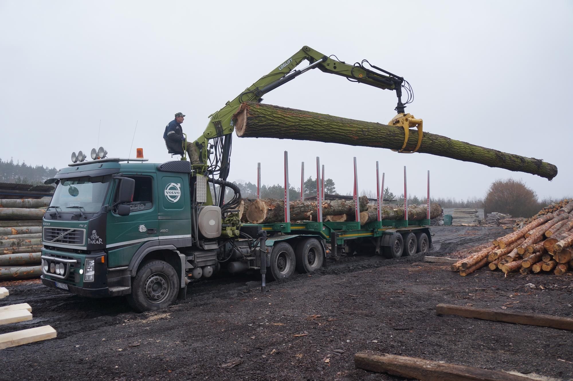 Volvo Fm12 6x4 Do Drewna Z Hds Loglift250 Opinie I Ceny Na Ceneo Pl