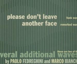 Several Additional Waves (Fedreghini, Paolo / Bianchi, Marco) (Winyl)