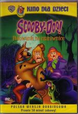 Scooby-Doo. Polowanie na Czarownice (Scooby-Doo: Which Witch Is Whicha) (DVD)