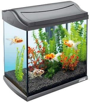 Tetra Aquaart Led Aquarium Goldfish 30 L