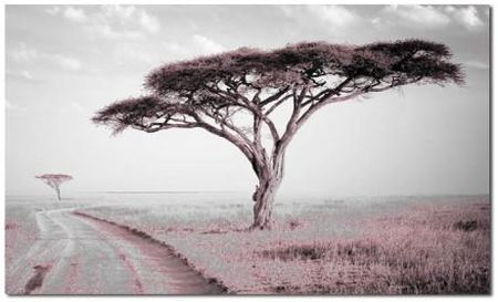 Aleobrazy Obraz Drzewo 31 Róż - 120X70Cm Do Salonu Afryka