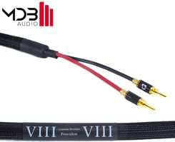 Zdjęcie Purist Audio Design Poseidon 2m - Stęszew
