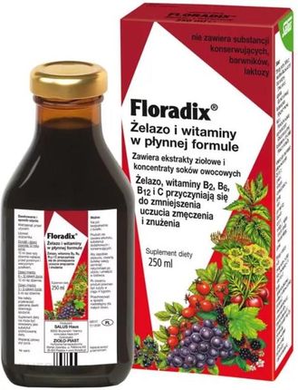Floradix Zioło Piast Floravital 250ml