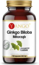 Zdjęcie Yango Ginkgo Biloba Ekstrakt 90 Kaps - Opole Lubelskie