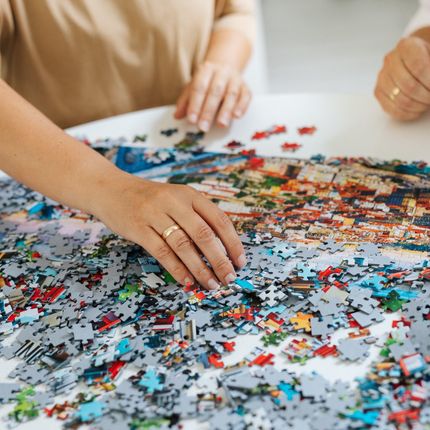 Trefl Mata do układania puzzli 500-3000 elementów 60986 - Ceny i