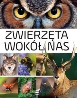 Album Zwierzęta wokół nas - Ceny i opinie - Ceneo.pl