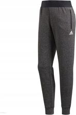 Spodnie damskie adidas STADIUM CZ2939 | odcienie szarego