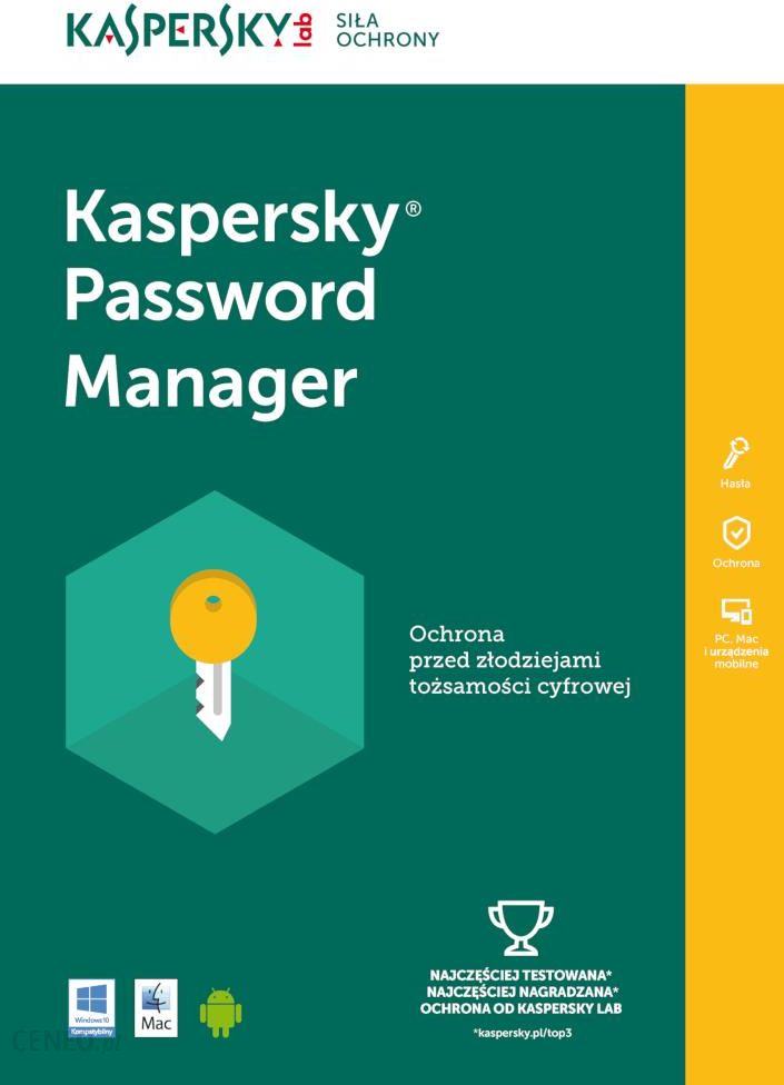 kaspersky total security password manager