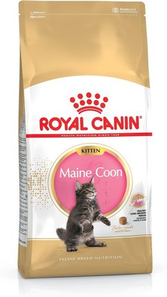 Royal Canin Maine Coon Kitten 10kg