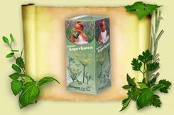 Zdjęcie Herbapol Herbata Koperkowa 2gx 20 szt. - Bystrzyca Kłodzka