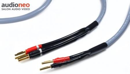 Melodika Kabel 2x 2m głośnikowy bi-wire konfekcja (MDBW41520G)