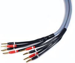 Zdjęcie Melodika Kabel 2x 6m głośnikowy bi-wire konfekcja (MDBW41560G) - Czempiń