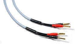 Zdjęcie Melodika Kabel 2x 2m głośnikowy konfekcja (MDSC2520G) - Kalisz