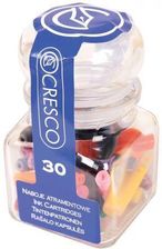 Zdjęcie Naboje do piór mix kolorów słoiczek 30 sztuk - Września