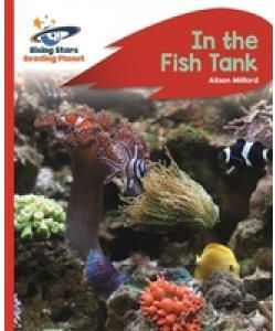 Reading Planet - In the Fish Tank - Red B: Rocket Phonics (Milford Alison)(Paperback)