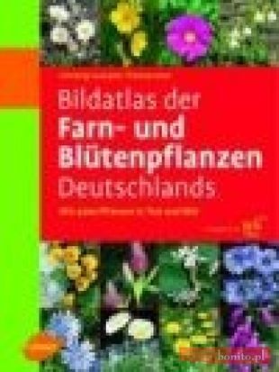 Bildatlas der Farn & Blutenpflanzen Deutschlands