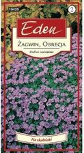 Zdjęcie ŻAGWIN OBRECJA AUBRIETA CULTORUM - Lublin