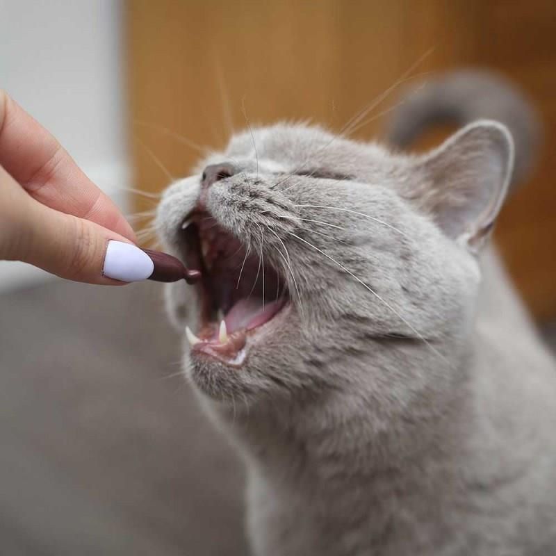 Vet Expert Urinovet Cat preparat na układ moczowy dla kotów Twist Off 45Kaps. - zdjęcie 1 Vet Expert Urinovet Cat preparat na układ moczowy dla kotów Twist Off 45Kaps.