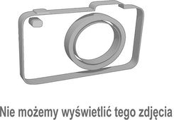 Zdjęcie Podnośnik szyby IVECO 98407744Z - Świątniki Górne