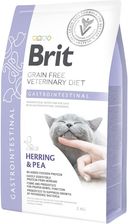Zdjęcie Brit Veterinary Diet Gastrointestinal Herring&Pea 2Kg - Oleśnica