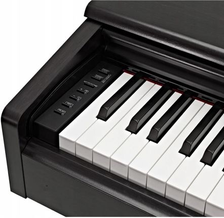 Yamaha YDP-144 B Arius - Ceny i opinie - Ceneo.pl