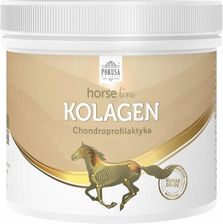 Zdjęcie Horse Line Suplement Na Stawy Kolagen 300G - Siechnice