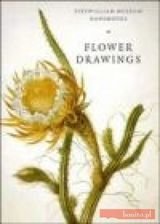 Flower Drawings