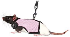 Zdjęcie Trixie Szelki Pełne dla Szczura (61511) - Łódź