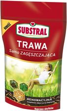 Zdjęcie Substral Trawa Samo Zagęszczająca Renowacyjna 250G - Rzeszów