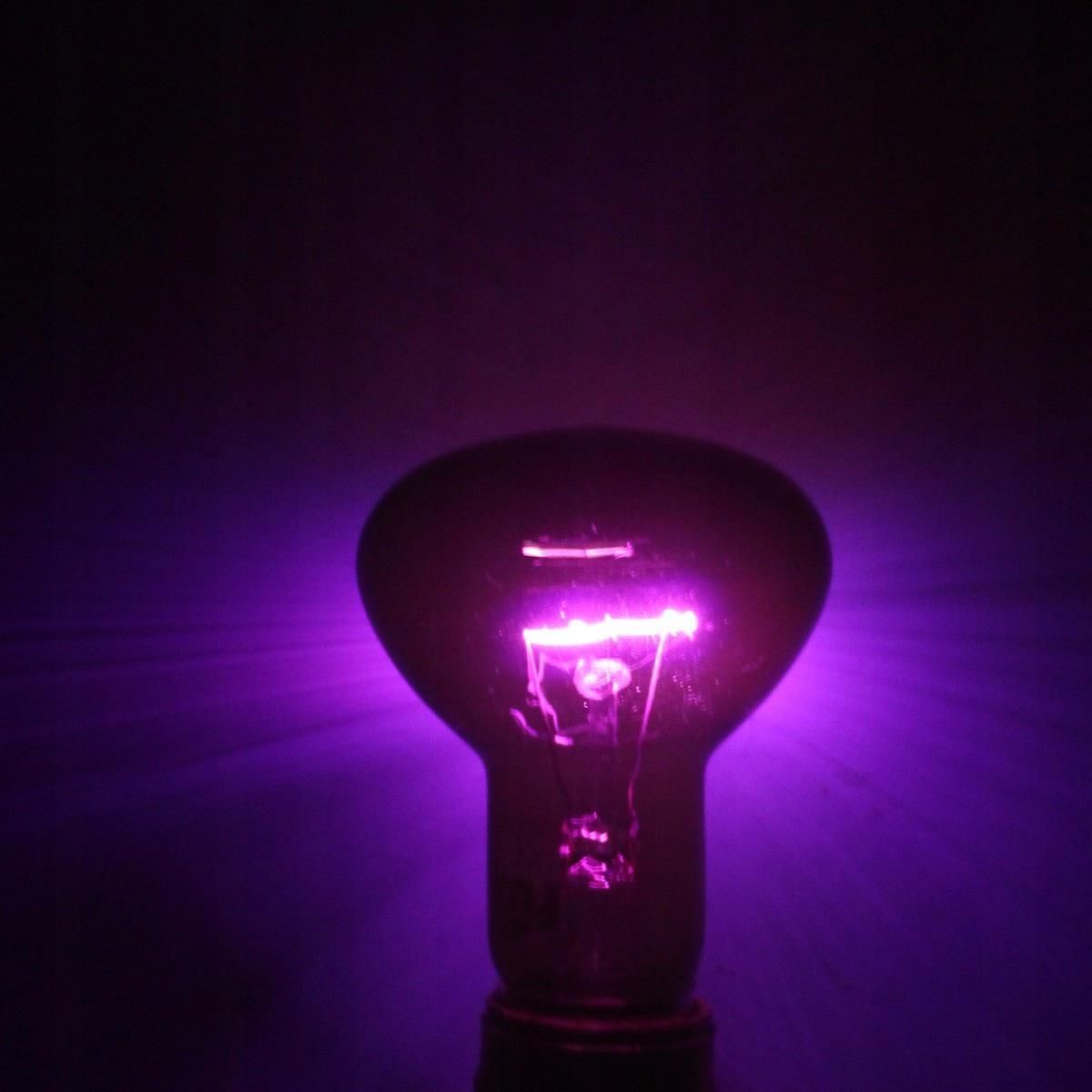Repti Zoo Moonlight Heat 50W Żarówka Nocna Grzewcza - zdjęcie 2 Repti Zoo Moonlight Heat 50W Żarówka Nocna Grzewcza