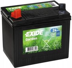 Zdjęcie Akumulator Exide Exb 24AH/250A +L Garden 4901 - Wadowice