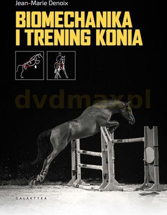 Biomechanika i trening konia - Jean-Marie Denoix