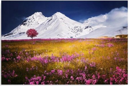 Obraz Na Ścianę Góry Alpy Do Salonu 100x70