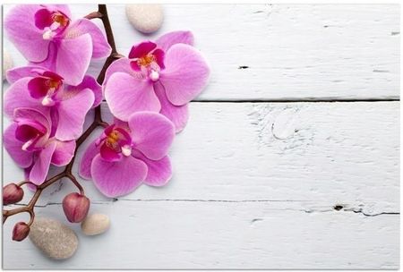 Obraz Na Ścianę Orchidea Róż Do Sypialni 70x50