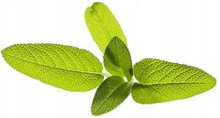 Zdjęcie Kapsułki roślinne Click and Grow - Szałwia - Żerków