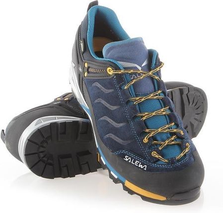 Ms mtn trainer gtx salewa hotsell