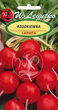Zdjęcie Rzodkiewka Carmen 10g - Wrocław