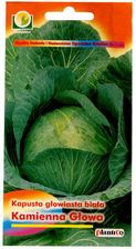 Zdjęcie Kapusta głowiasta biała Kamienna Głowa 2g - Łosice
