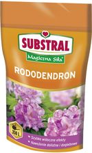 Zdjęcie Substral Interwencyjny do Rododendronów 350g - Zakliczyn