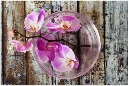 Obraz Na Ścianę Orchidea Deski Do Biura 120x80